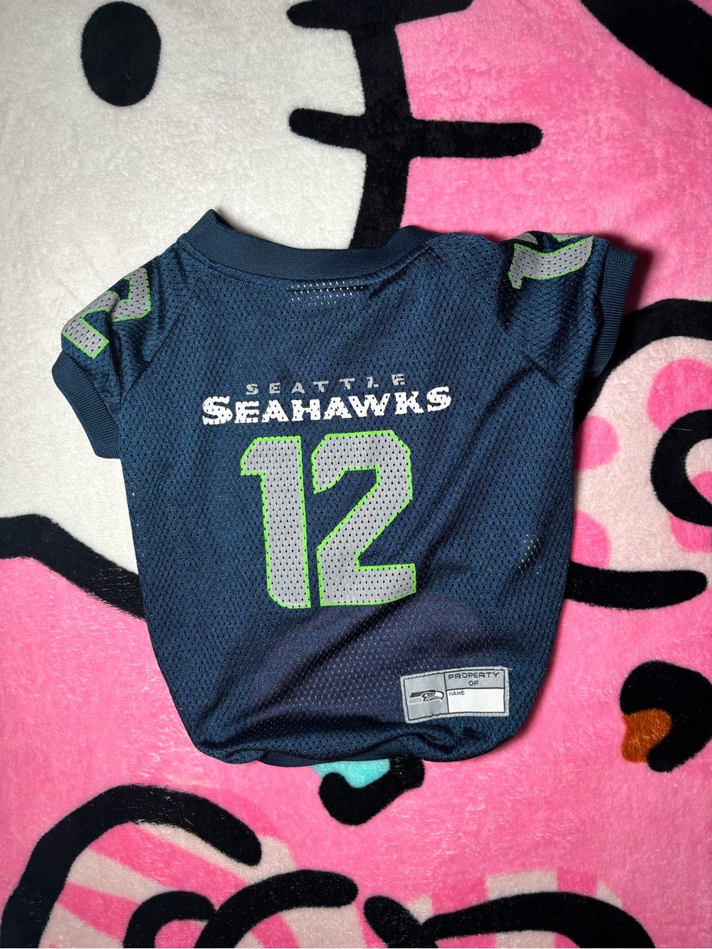 Seattle Seahawks pet jersey